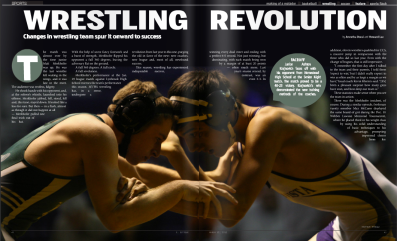 Wrestling revolution